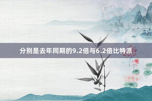 分别是去年同期的9.2倍与6.2倍比特派