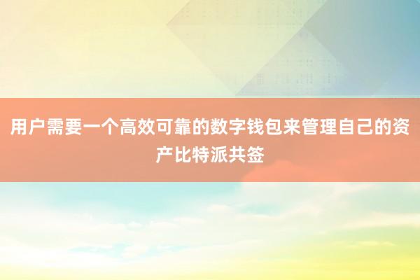 用户需要一个高效可靠的数字钱包来管理自己的资产比特派共签