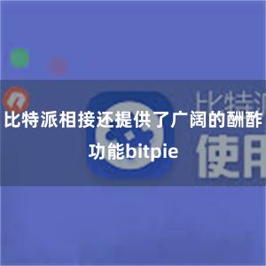 比特派相接还提供了广阔的酬酢功能bitpie