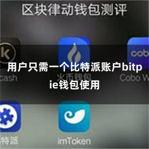 用户只需一个比特派账户bitpie钱包使用